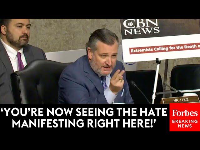 Ted Cruz Gets Interrupted During Hearing By Anti-Israel Protester—Then He Responds