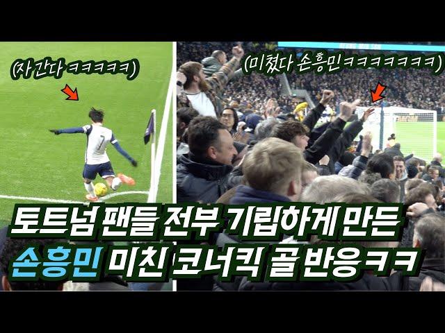 Tottenham fans react to Son Heung-min's goal straight from the corner