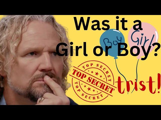 TRYST Secret Revealed! Robyn's Awakening.  PART TWO! Sister Wives S19 Ep16 2nd Half Review