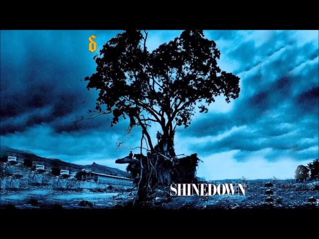 Shinedown - 45