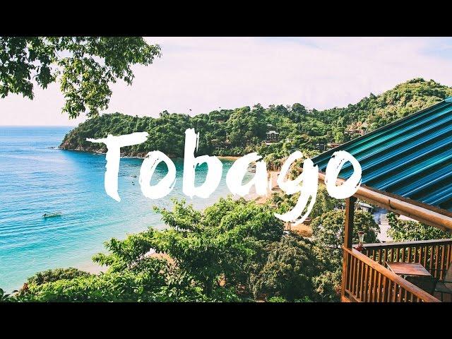 TOBAGO : TOP 10 THINGS to See & Do | Travel Guide