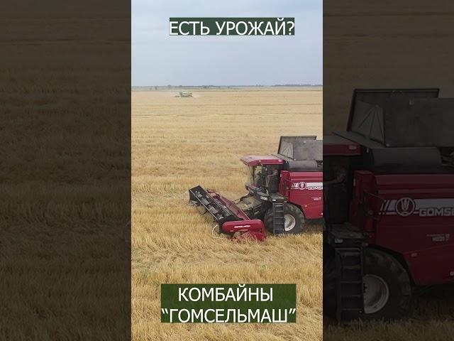 Комбайны ГОМСЕЛЬМАШ | Эпизод 3        #сельскоехозяйство #гомсельмаш #farming #agriculture