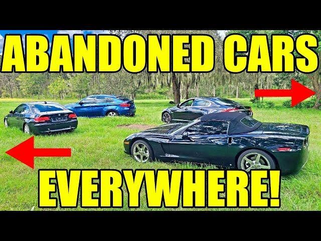 I Found A Farm With Abandoned Performance Cars Everywhere! The Farmer Wants To Sell Them All!