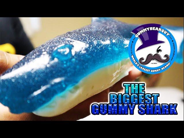 WORLD'S BIGGEST GUMMY SHARK by THE GUMMY BEAR GUY *** REVIEW ***