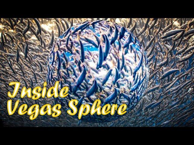 Inside Las Vegas Sphere - Immersive and Stunning