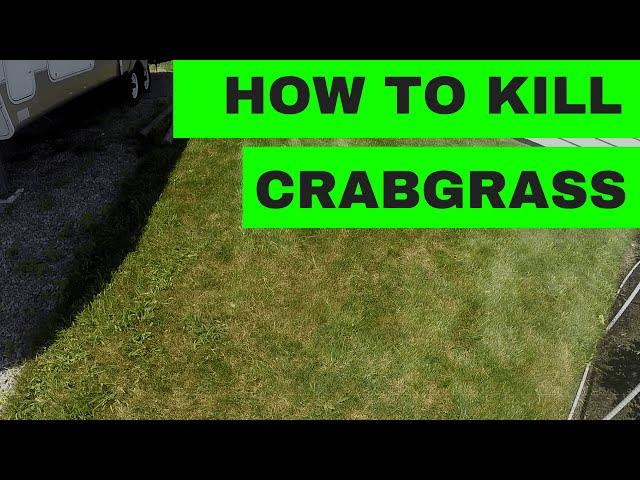 How to Kill Crabgrass in your Lawn