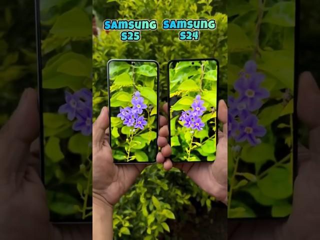 Samsung S25 Vs Samsung S24 Camera Test!! #tecnopova5g#infinixnote50s#tecno#infinix#trending