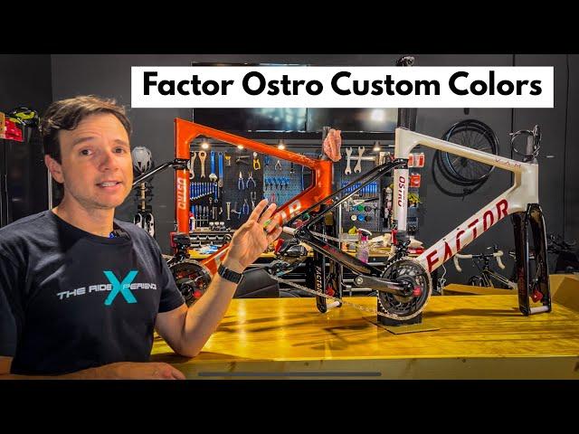 Factor Ostro Vam Prisma Studio Build