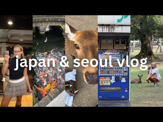 japan & south korea vlog | tokyo, kyoto, osaka, nara & seoul | matcha, thrifting & exploring temples