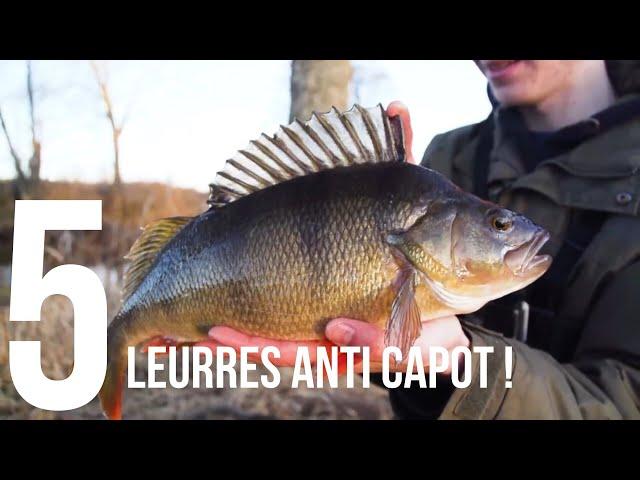 Les 5 leurres INDISPENSABLES - Anti CAPOT pour pêcher la Perche ( Débutant )