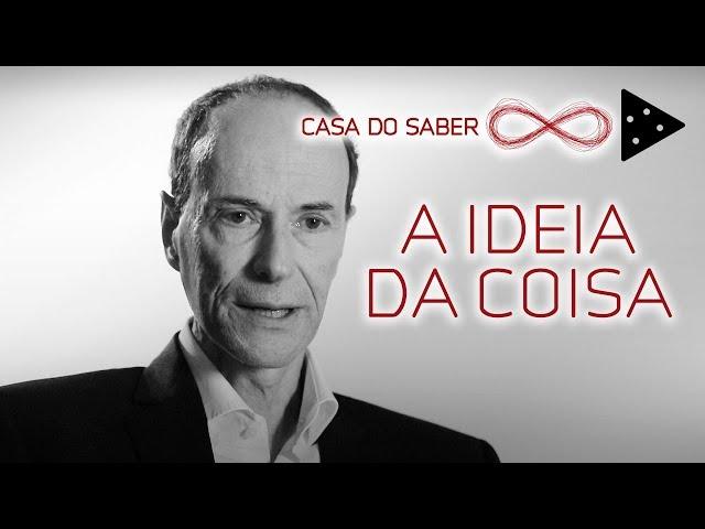 VOCÊ PREFERE: A COISA OU A IDEIA DA COISA? | LUIZ ALBERTO HANNS