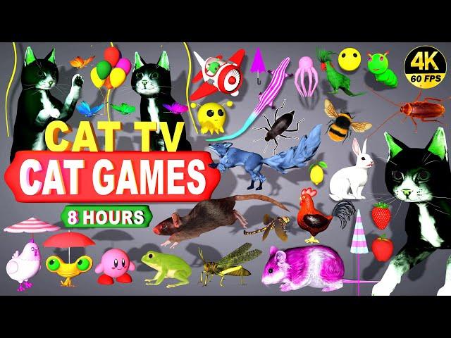 CAT GAMES | ULTIMATE CAT GAMES OFFICIAL PUPULAR VIDEOS BEST SCENES COMPILATION FOR CATS | CAT TV