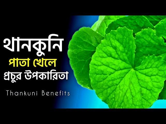 থানকুনি পাতার উপকারিতা কি ? Thankuni Patar Upokarita in Bengali