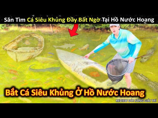 Săn Tìm Cá Siêu Khủng Không Ai Ngờ Tại Hồ Nước Bỏ Hoang || Review Giải Trí Đời Sống