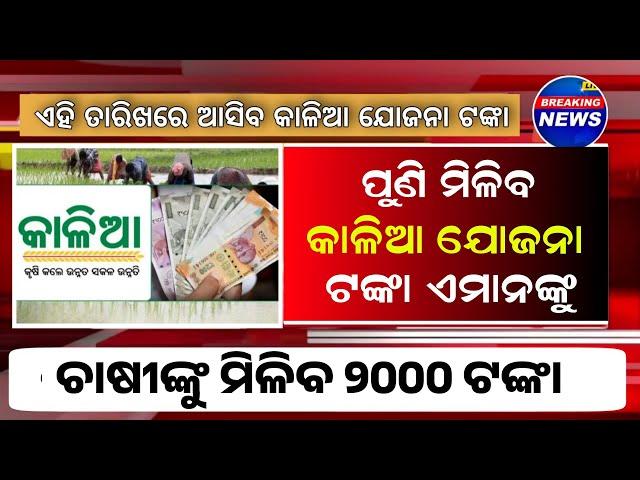 Kalia Yojana Money Transfer | Kalia Yojana New List 5th May 2024 - Odisha Mobile Video