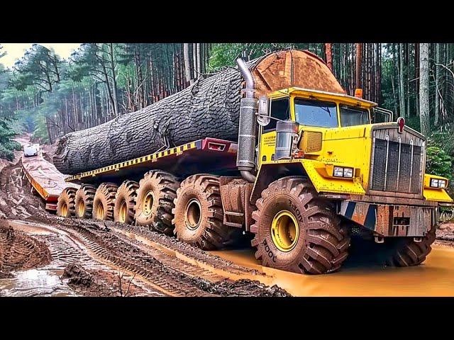 Impressive Industrial Machines Operating at Peak Efficiency ► 6
