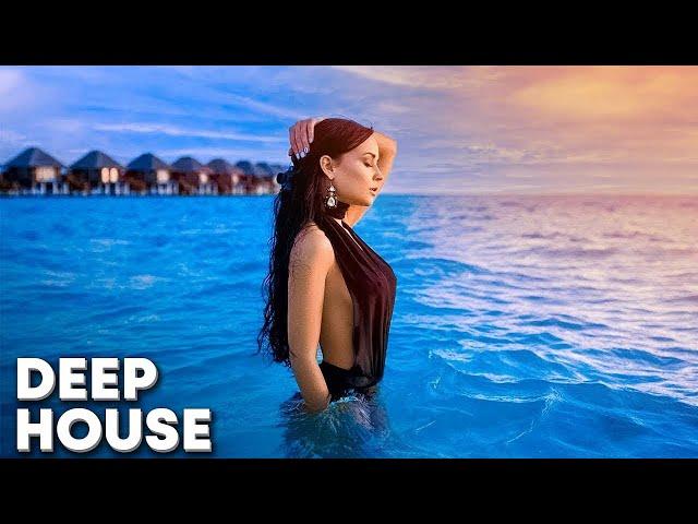 Alan Walker, Dua Lipa, Coldplay, Martin Garrix & Kygo, The Chainsmokers Style  Summer Vibes