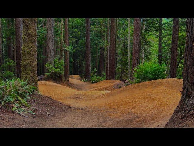 These Trails are Straight out of an R Dog Edit! (literally)