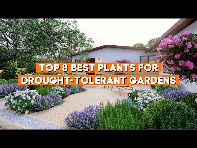 Top 8 Best Plants for Drought Tolerant Gardens ️ // PlantDo Home & Garden