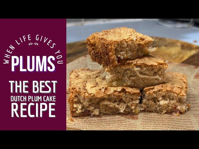 The Best Plum Cake Recipe - Dutch Plum Cake twist on Dutch Apple Cake #cinnamon