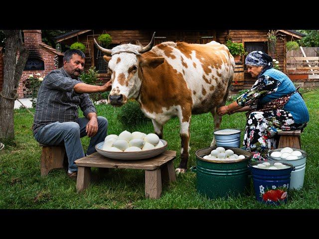 Fresh Adana Cheese from Cow's Milk: A Village Tradition 