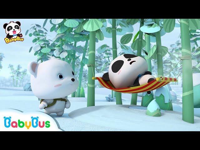 Who is the Real Panda Kiki? | Baby Panda's Magic Bow Tie | Magical Chinese Characters | BabyBus