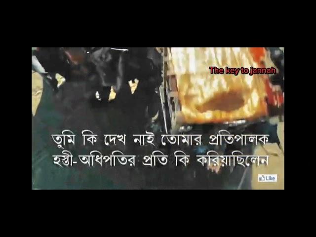 sura al-filhttps://youtube.com/shorts/bkBXDmT-nDs?si=9ue-04GddC0jcp4l
