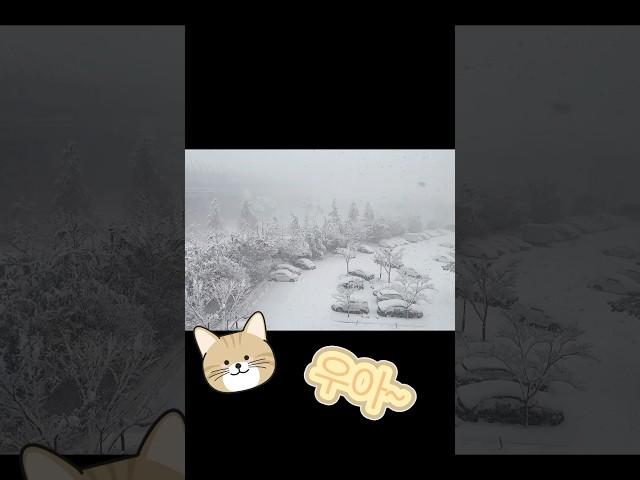100년 폭설 감상중 ‍️