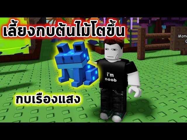 เลี้ยงกบเรืองแสงต้นไม้โตขึ้น Roblox Grow a Garden