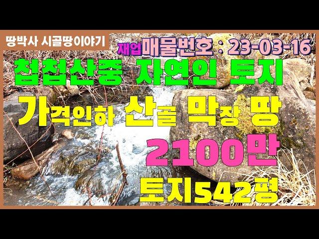 (23. 03. 16) ** 가격인하** 자연생활이 하고 싶다면 이 땅을 무조건 사라!! 깊은 골짜기 외진 곳에서 가재, 개구리 잡으며 숲 속에 파묻혀 살기 좋은 땅.