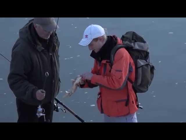 Рыбалка в черте города . Язь на воблер . Набережная Иртыша .