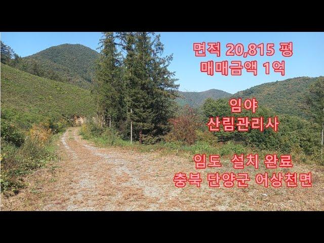 충북 단양군 어상천면 임야 산림관리사 매매가격 1억 면적 20,815평