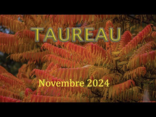 TAUREAU - Novembre 2024 ~ Un deuil à faire