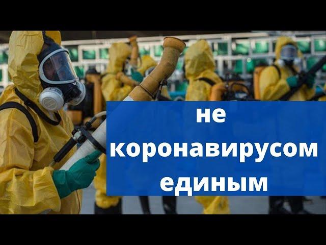 Российский экспорт в Китай растет