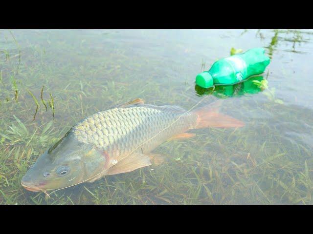 Fish Trap With Plastic Bottle! Amazing Fish Video. Fishing Boss