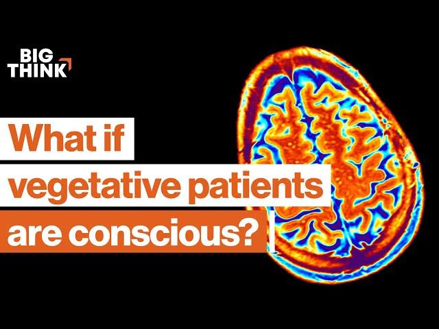 1 in 5 vegetative patients is conscious. This neuroscientist finds them. | Big Think x Freethink