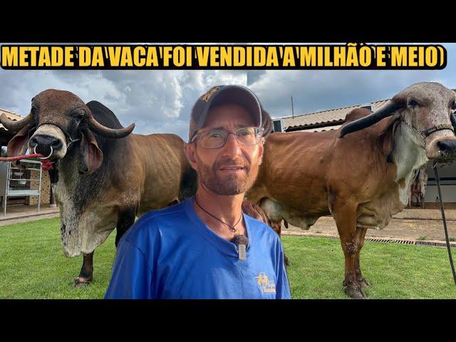 ROTINA NA FAZENDA COM ANIMAIS DE MILHÕES - TAMBURIL