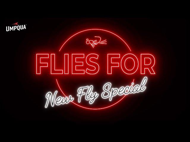 Flies For 2025