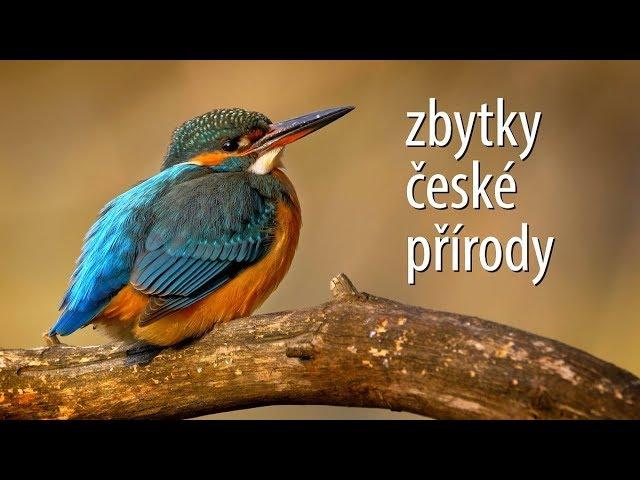 The last pieces of European nature – Wildlife showreel (2018)