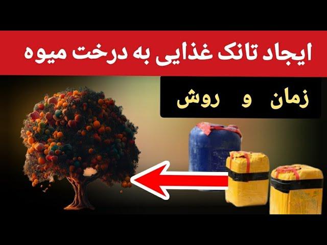 با این روش درختان شما میوه زیاد داده و دیگر به هیچ کودی ضرورت ندارد