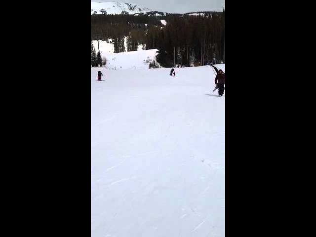 turtle shred again