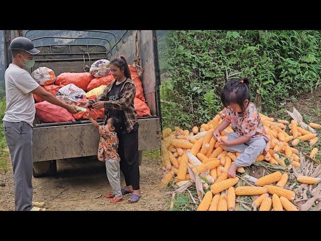 Mother and son pick corn and put it in bags to sell