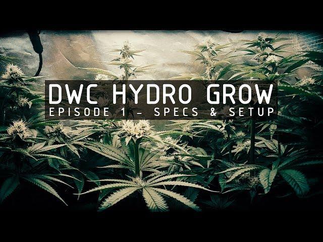 DWC Hydroponic Cannabis Grow Ep 1. System Specs & Setup