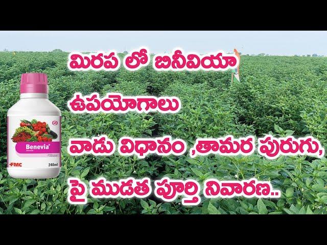 FMC Benevia uses | benevia uses in telugu | fmc benevia telugu | mirapa lo benevia uses | Benevia