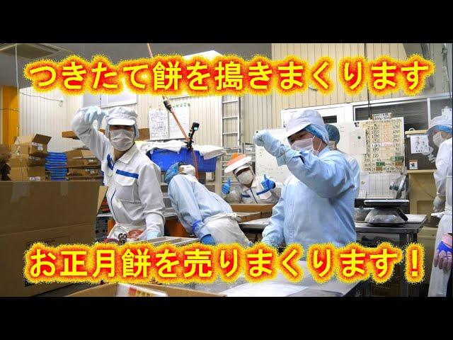 朝？２時出社で林さんちの一番長い一日の始まりです・つきたて餅の大量製造＆販売です・2024