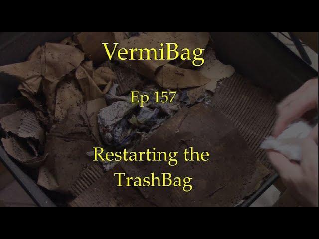 VermiBag  Ep 157  TrashBag Restart  & Making a Cardboard Moisture Barrier Mix