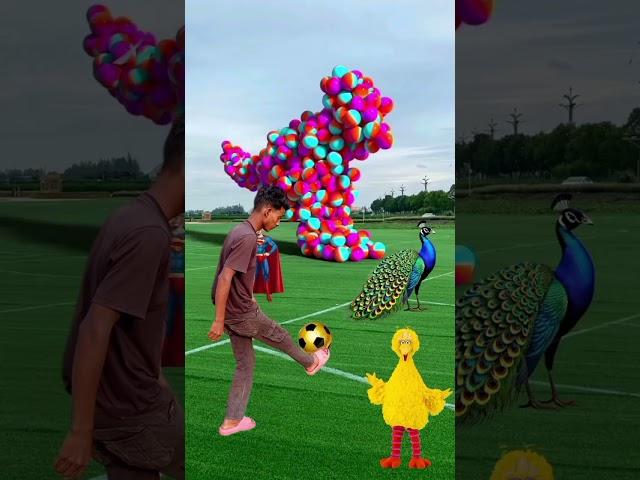 the mascot vibrato aisstant placedonthe football field is popular products new sap video viral