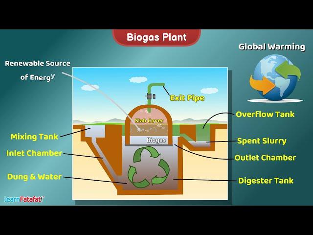 Biogas Plant | Science | Working Model and Explanation