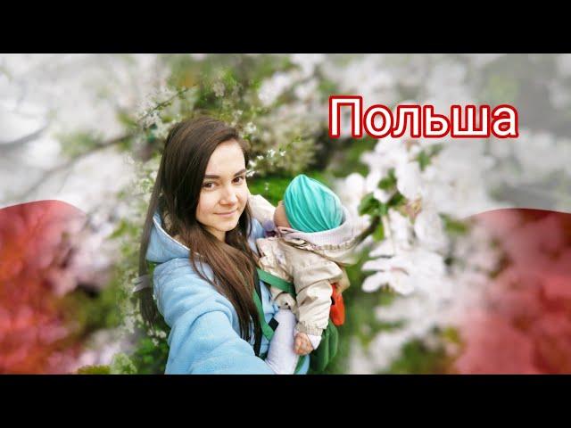 Весна в Польше моими глазами | ЖИЗНЬ В ПОЛЬШЕ 2019