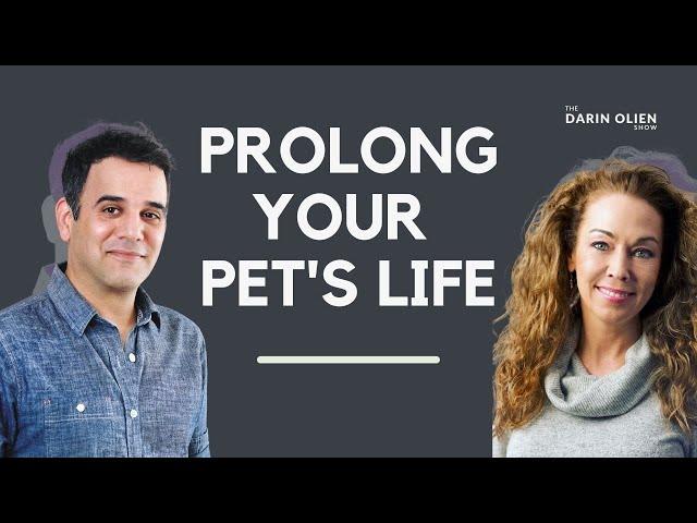 Is Your Pet Getting Proper Nutrition? | Rodney Habib & Dr. Karen Becker